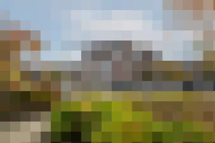 Goudmos 78 Nieuwerkerk aan den IJssel thumbnail 7