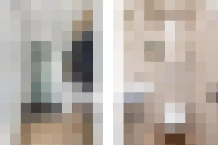 Goudmos 78 Nieuwerkerk aan den IJssel thumbnail 8