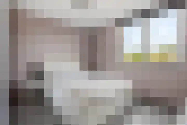 Goudmos 86 Nieuwerkerk aan den IJssel thumbnail 10