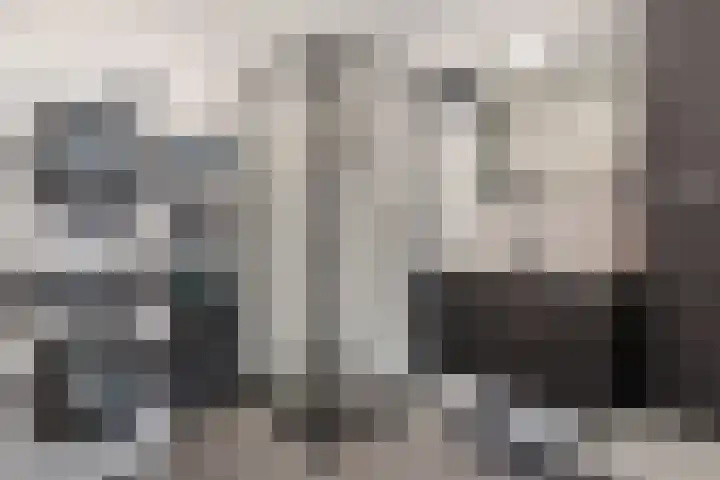 Goudmos 86 Nieuwerkerk aan den IJssel thumbnail 12