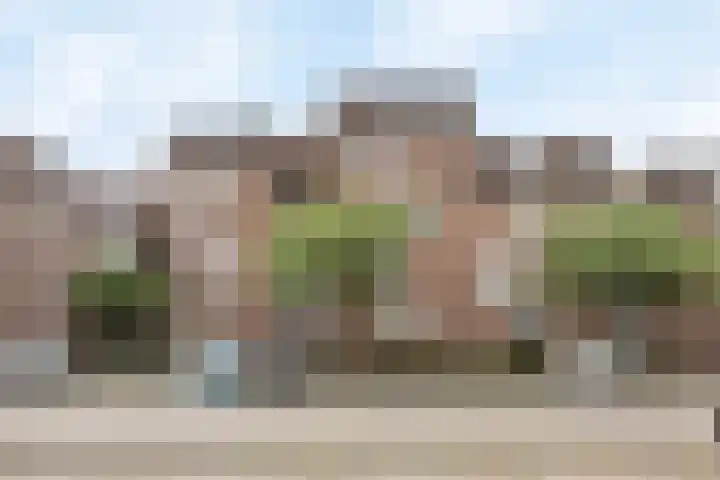 Goudmos 86 Nieuwerkerk aan den IJssel thumbnail 14