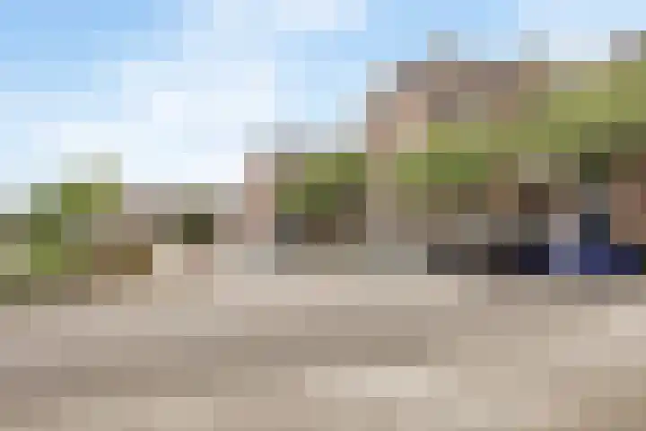 Goudmos 86 Nieuwerkerk aan den IJssel thumbnail 16