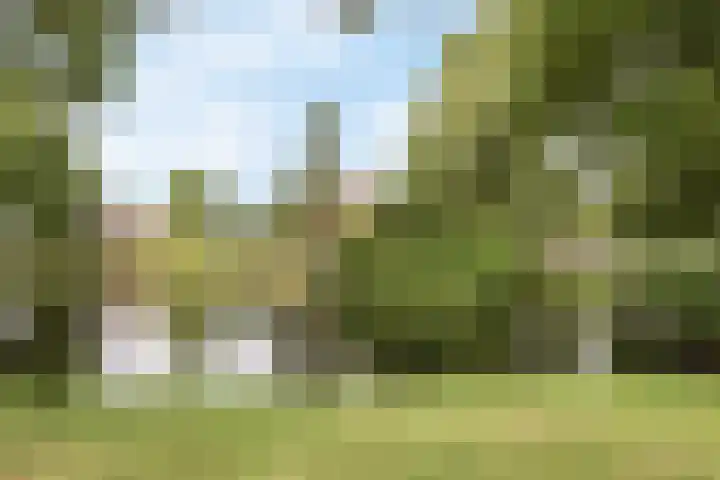 Goudmos 86 Nieuwerkerk aan den IJssel thumbnail 17