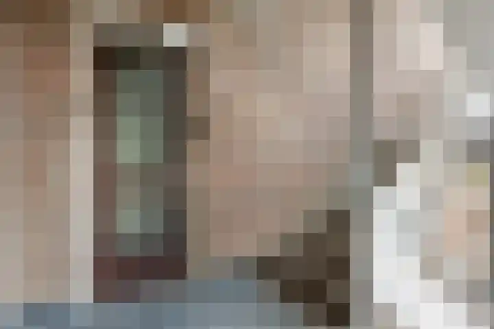 Goudmos 86 Nieuwerkerk aan den IJssel thumbnail 4
