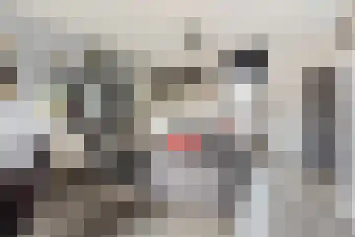 Goudmos 86 Nieuwerkerk aan den IJssel thumbnail 5