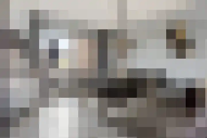 Goudmos 86 Nieuwerkerk aan den IJssel thumbnail 6