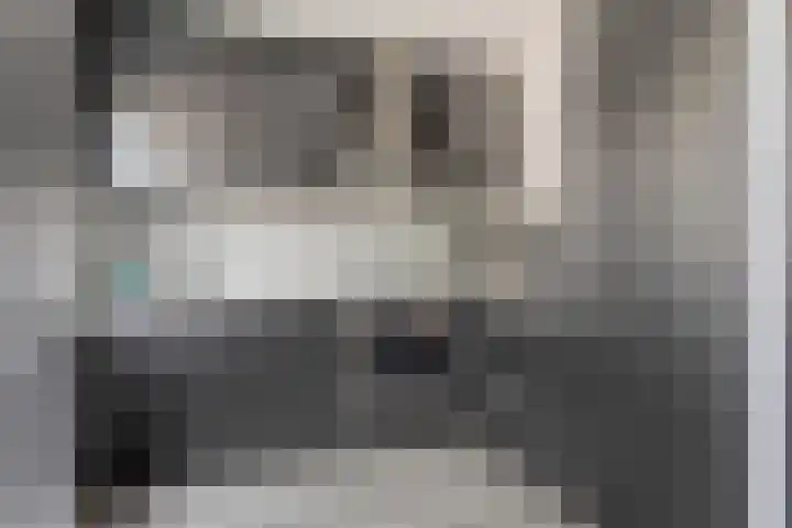 Goudmos 86 Nieuwerkerk aan den IJssel thumbnail 7
