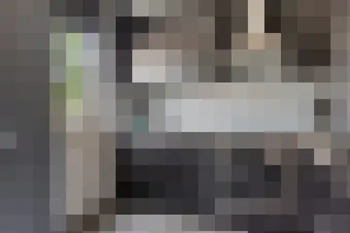 Goudmos 86 Nieuwerkerk aan den IJssel thumbnail 8