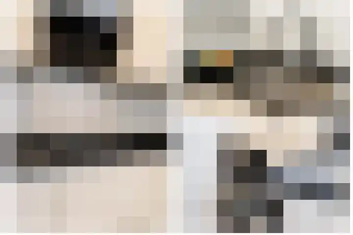 Goudmos 98 Nieuwerkerk aan den IJssel thumbnail 14