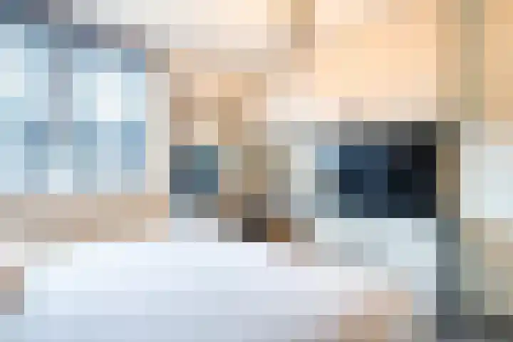 Goudmos 98 Nieuwerkerk aan den IJssel thumbnail 19