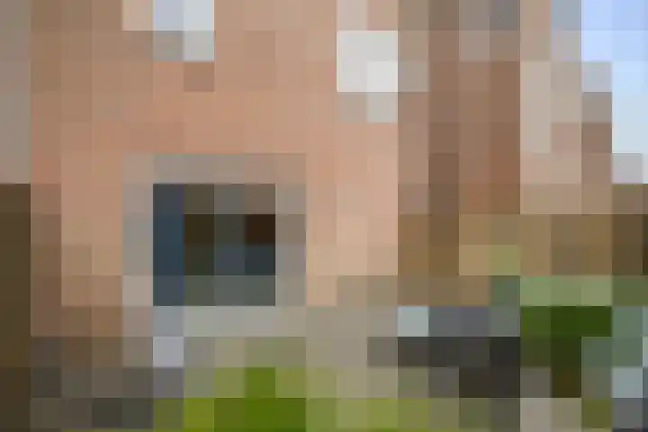Goudmos 98 Nieuwerkerk aan den IJssel thumbnail 26
