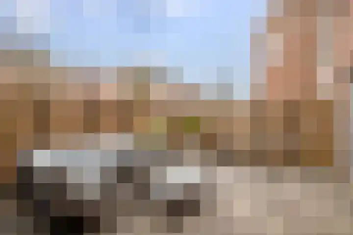 Goudmos 98 Nieuwerkerk aan den IJssel thumbnail 27