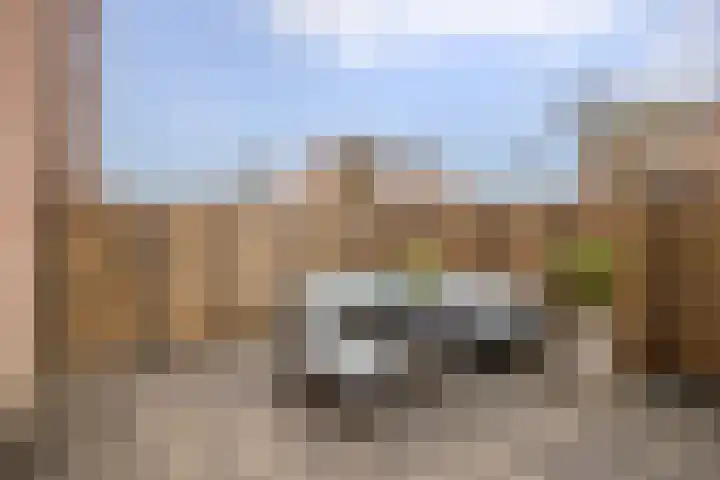 Goudmos 98 Nieuwerkerk aan den IJssel thumbnail 28