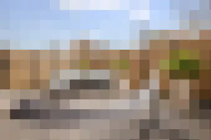 Goudmos 98 Nieuwerkerk aan den IJssel thumbnail 29