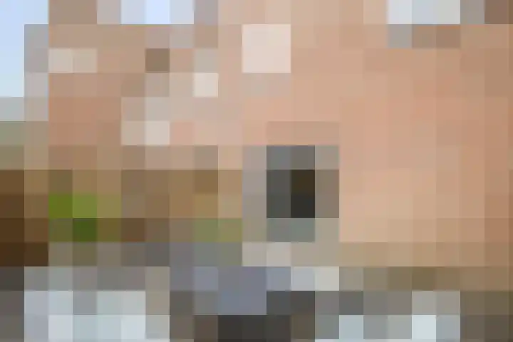 Goudmos 98 Nieuwerkerk aan den IJssel thumbnail 30