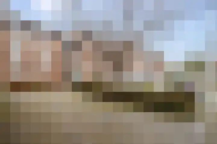 Goudmos 98 Nieuwerkerk aan den IJssel thumbnail 32