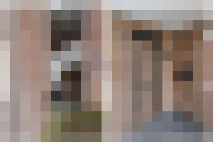 Goudmos 98 Nieuwerkerk aan den IJssel thumbnail 34