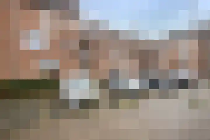 Goudmos 98 Nieuwerkerk aan den IJssel thumbnail 36