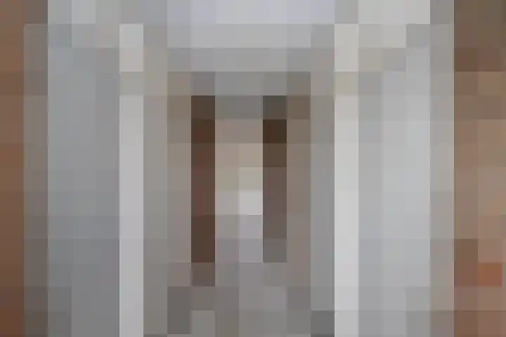 Goudmos 98 Nieuwerkerk aan den IJssel thumbnail 37