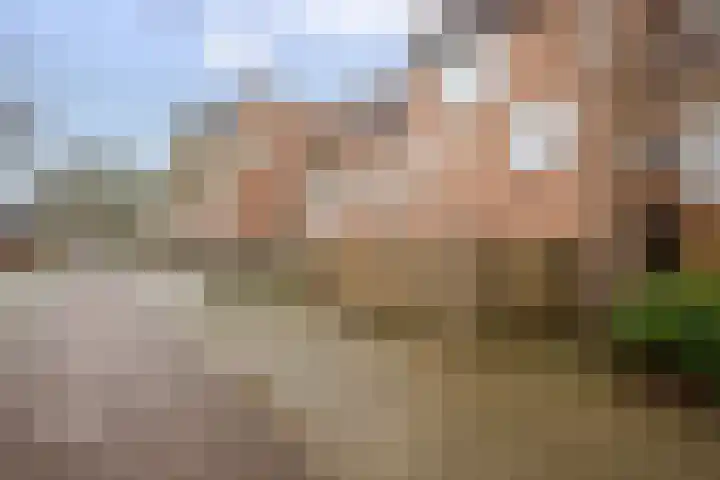 Goudmos 98 Nieuwerkerk aan den IJssel thumbnail 38