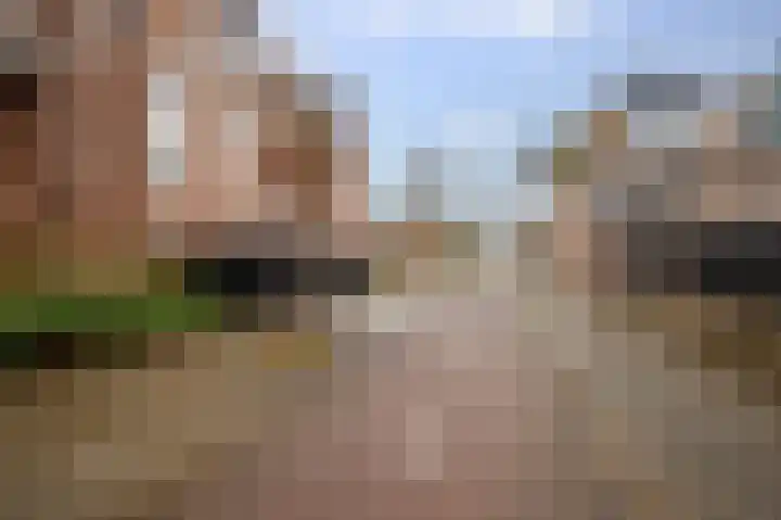 Goudmos 98 Nieuwerkerk aan den IJssel thumbnail 39