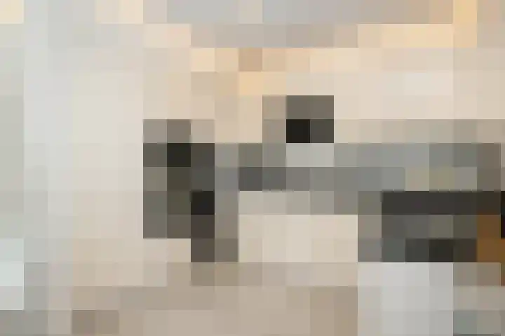 Goudmos 98 Nieuwerkerk aan den IJssel thumbnail 4