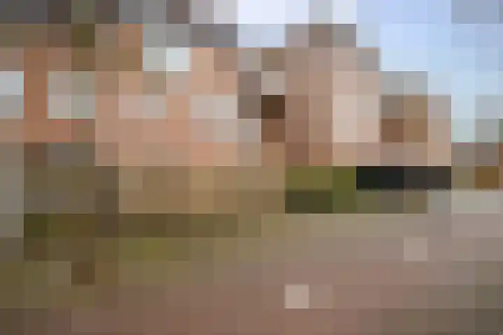 Goudmos 98 Nieuwerkerk aan den IJssel thumbnail 40
