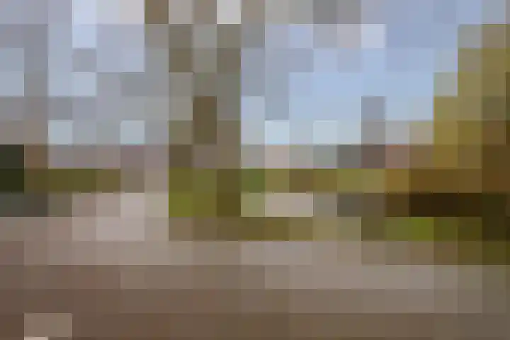 Goudmos 98 Nieuwerkerk aan den IJssel thumbnail 41
