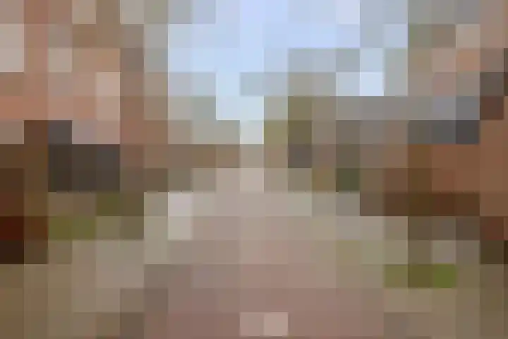 Goudmos 98 Nieuwerkerk aan den IJssel thumbnail 43