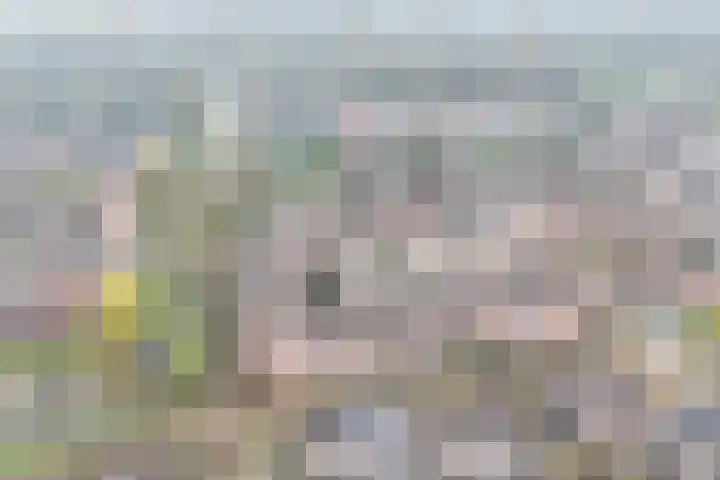 Goudmos 98 Nieuwerkerk aan den IJssel thumbnail 44