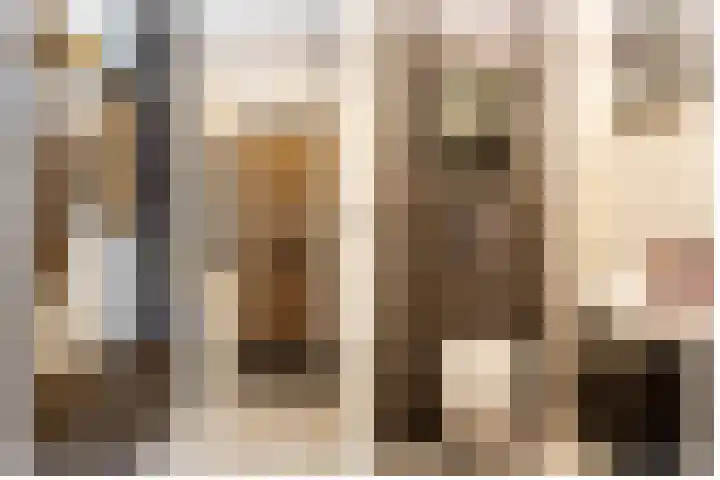 Goudmos 98 Nieuwerkerk aan den IJssel thumbnail 5