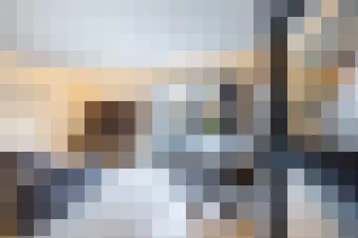 Goudmos 98 Nieuwerkerk aan den IJssel thumbnail 6