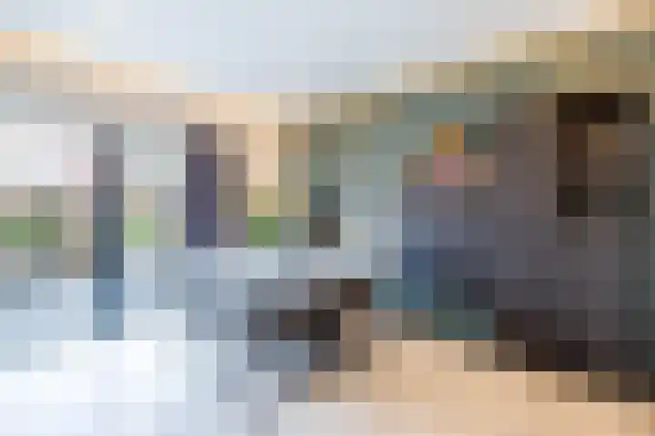Goudmos 98 Nieuwerkerk aan den IJssel thumbnail 7