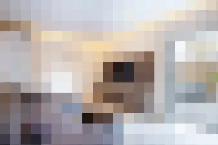 Goudmos 98 Nieuwerkerk aan den IJssel thumbnail 8