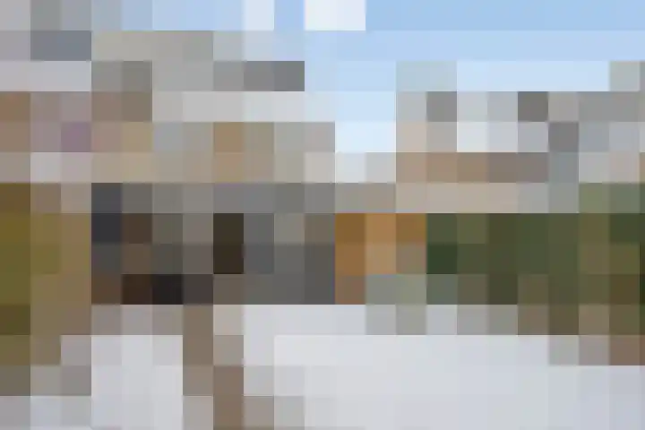 Goudpiasterstraat 11 's-Hertogenbosch thumbnail 39