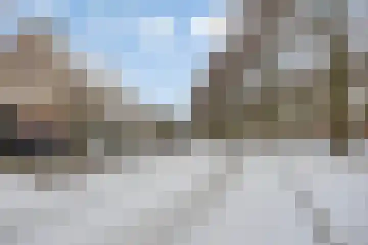 Goudpiasterstraat 11 's-Hertogenbosch thumbnail 7
