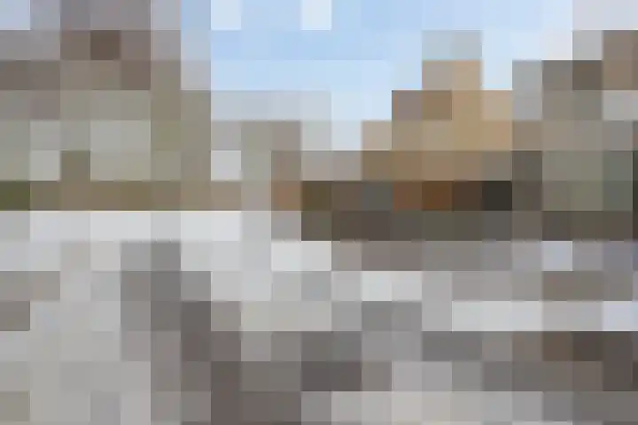 Goudpiasterstraat 11 's-Hertogenbosch thumbnail 8