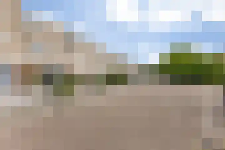 Goudpiasterstraat 37 's-Hertogenbosch thumbnail 33