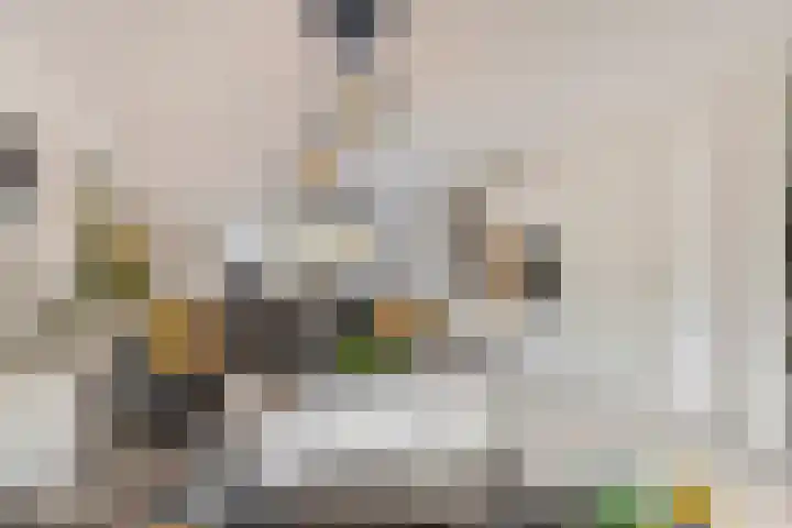 Goudpiasterstraat 37 's-Hertogenbosch thumbnail 4