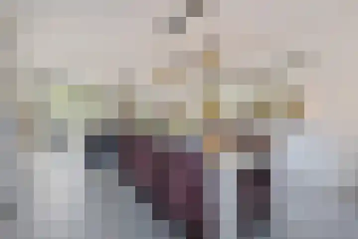 Goudpiasterstraat 37 's-Hertogenbosch thumbnail 6