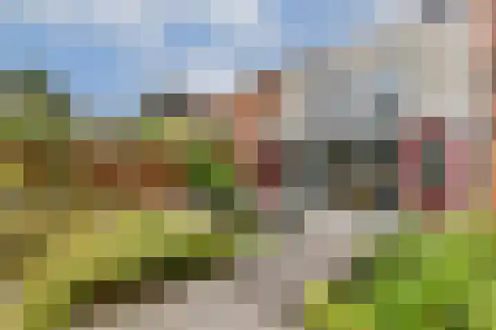 Goudplaat 11 Hoofddorp thumbnail 11