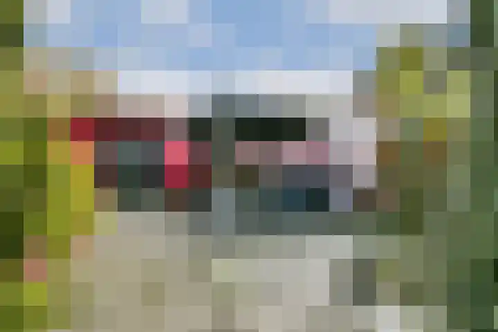 Goudplaat 11 Hoofddorp thumbnail 14