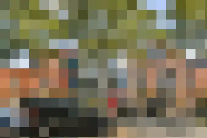 Goudplaat 11 Hoofddorp thumbnail 6