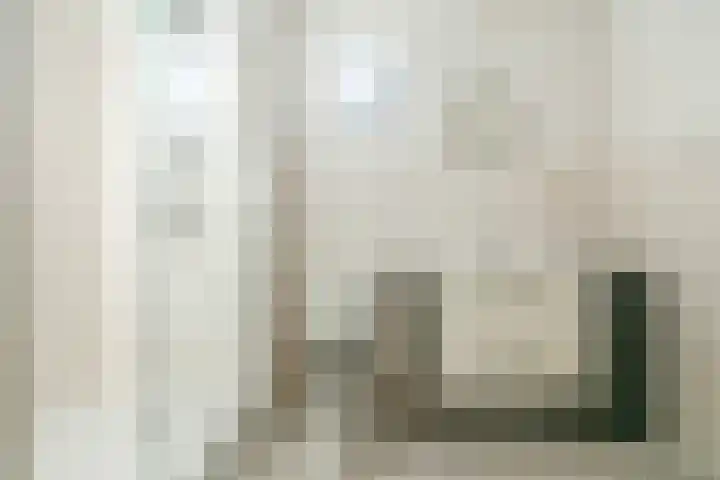 Goudplaat 116 Hoofddorp thumbnail 22