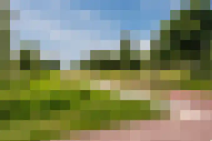 Goudplaat 136 Hoofddorp thumbnail 47