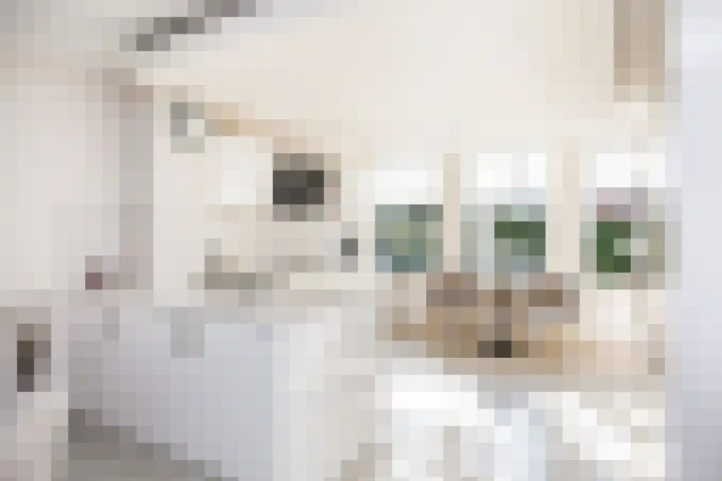 Goudplaat 73 Hoofddorp thumbnail 16