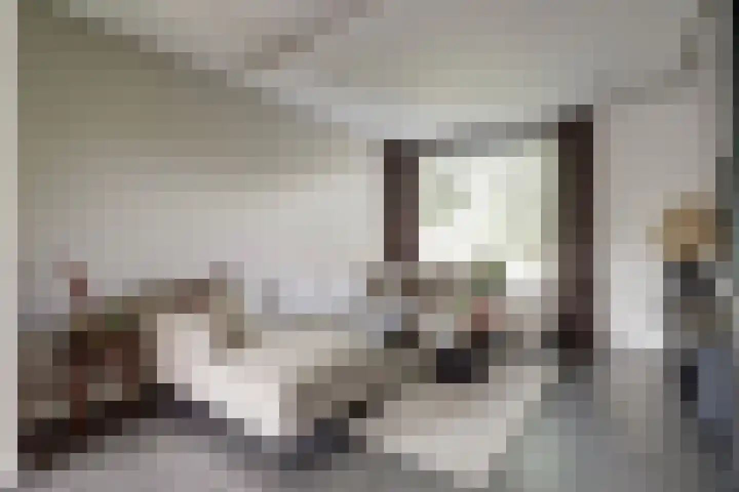 Goudplevier 1 Bodegraven thumbnail 10