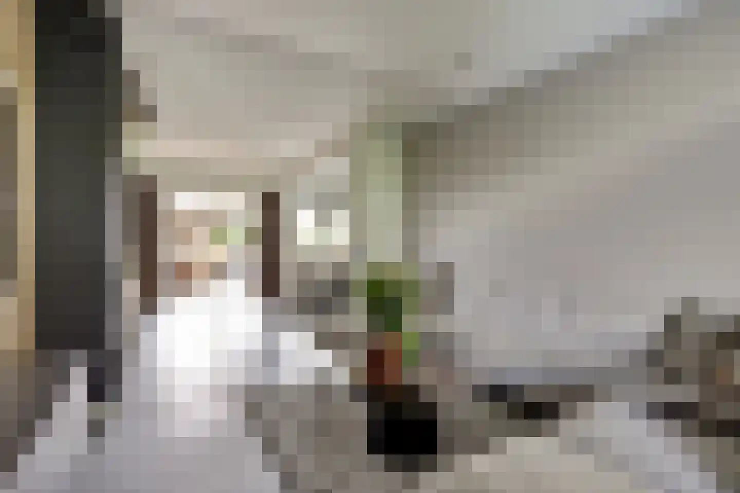 Goudplevier 1 Bodegraven thumbnail 11