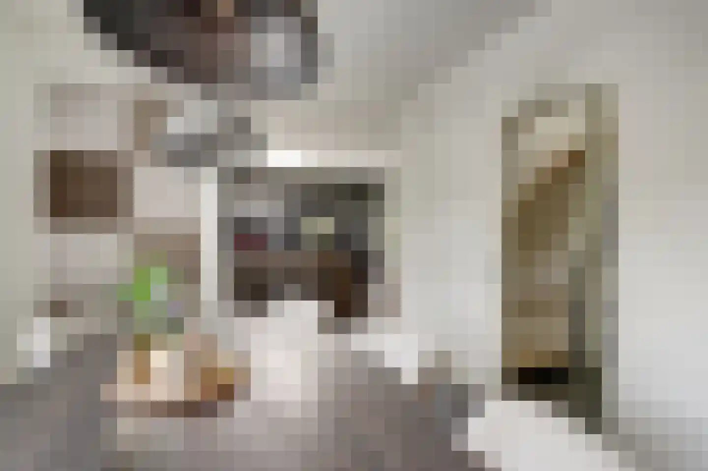 Goudplevier 1 Bodegraven thumbnail 13