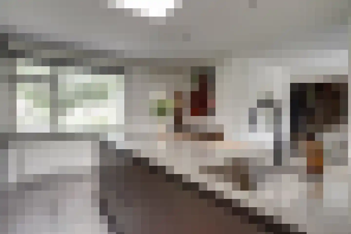 Goudplevier 1 Bodegraven thumbnail 17